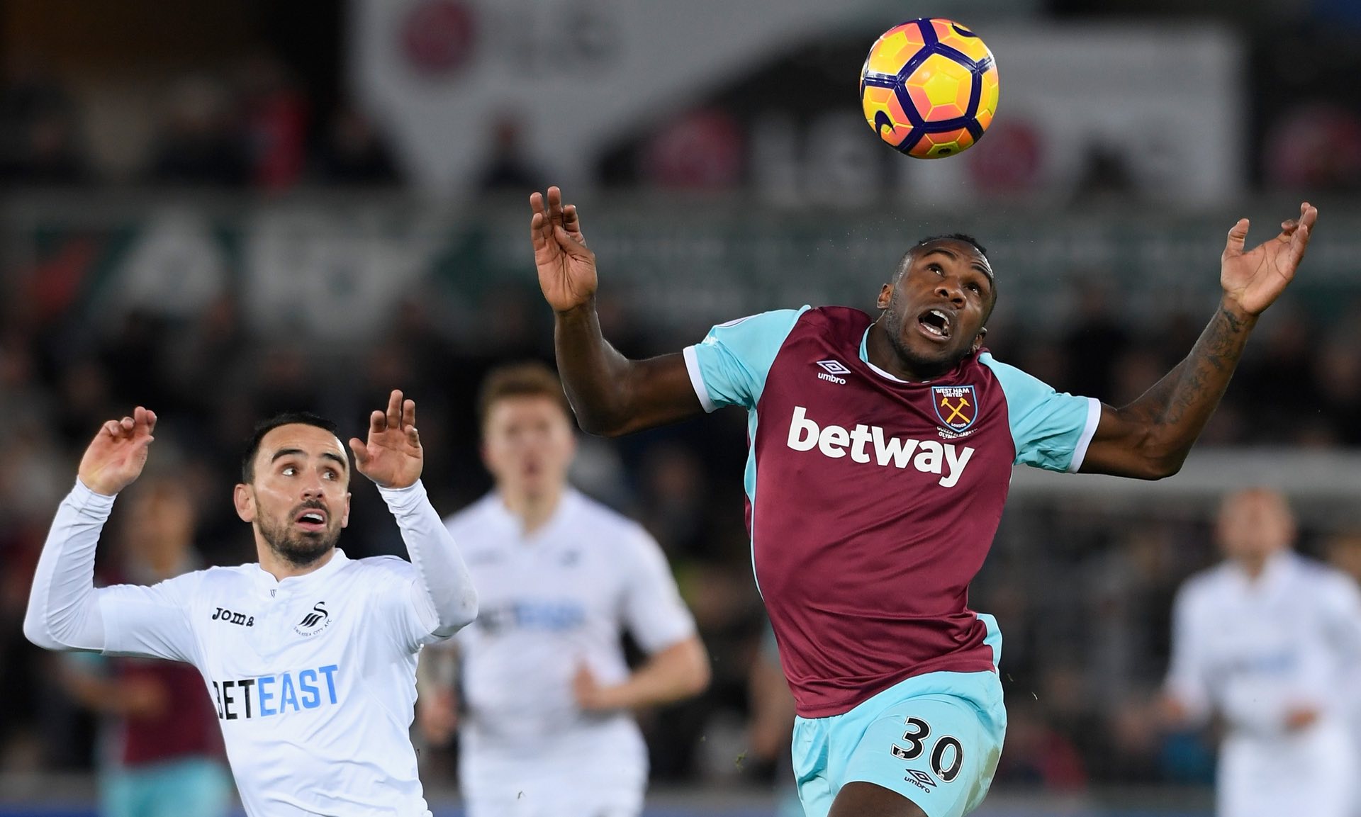 许有欣不仅 许有欣不仅