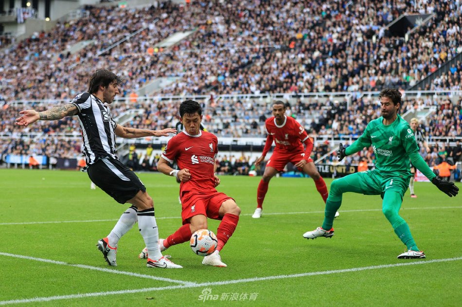 本文将为您 本文将为您